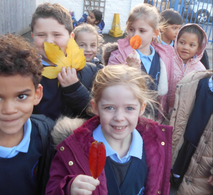Children holding leaves for science lesson